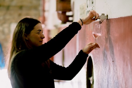 Méthodes d'élevage et de vinification - Maison Labastide 