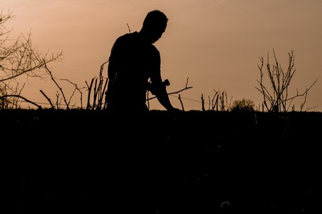 Nos vignerons coopérateurs - Maison Labastide 