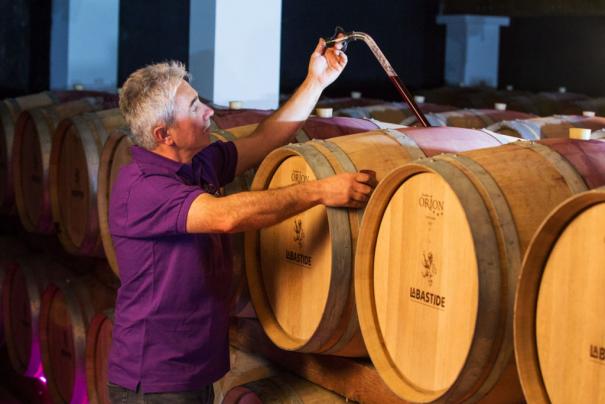 oenologue_chai_barriques_cave_labastide